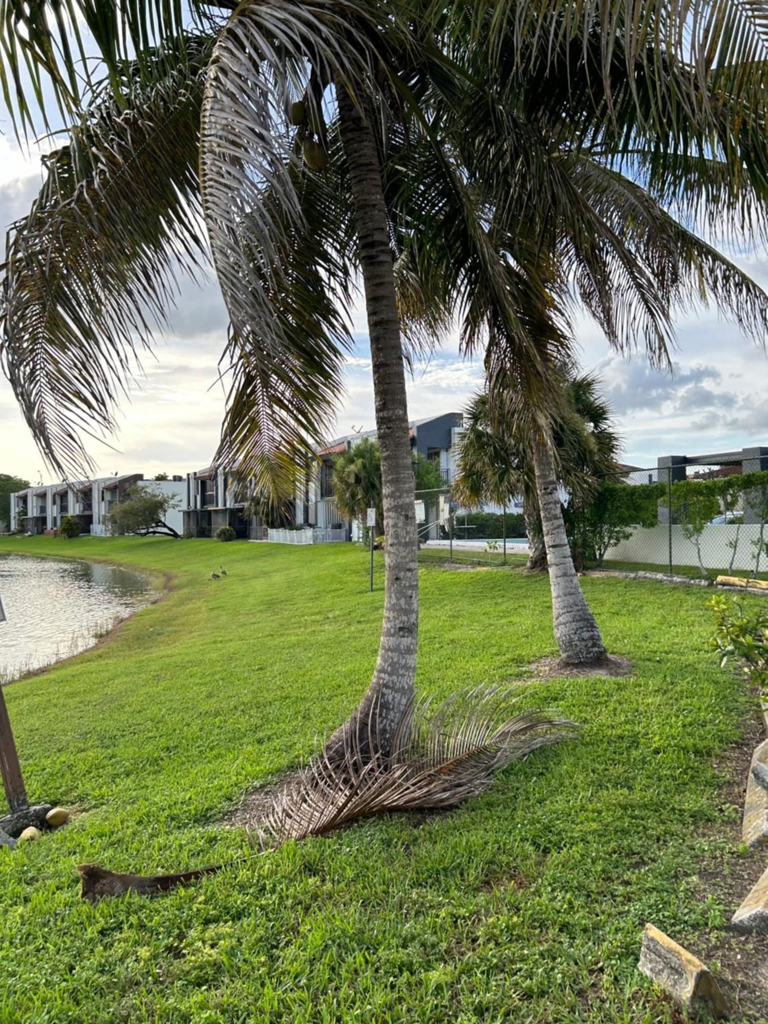 Beautiful Apartment With Very Elegant Colonial Decoration Tamiami Extérieur photo